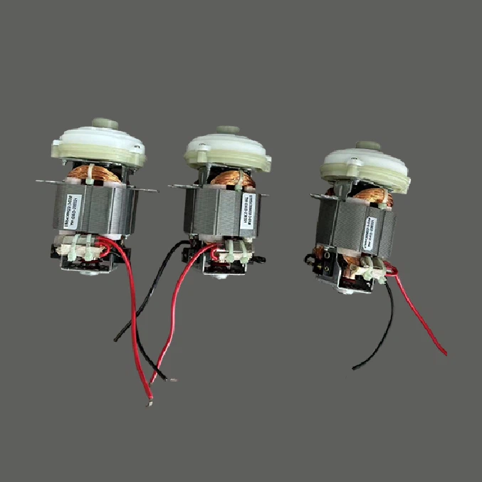 Motor electric de râșniță